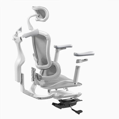 C300 Ergonomic Office Chair