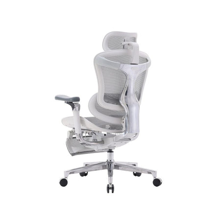 C500 Luxury Executive Mesh Office Chair