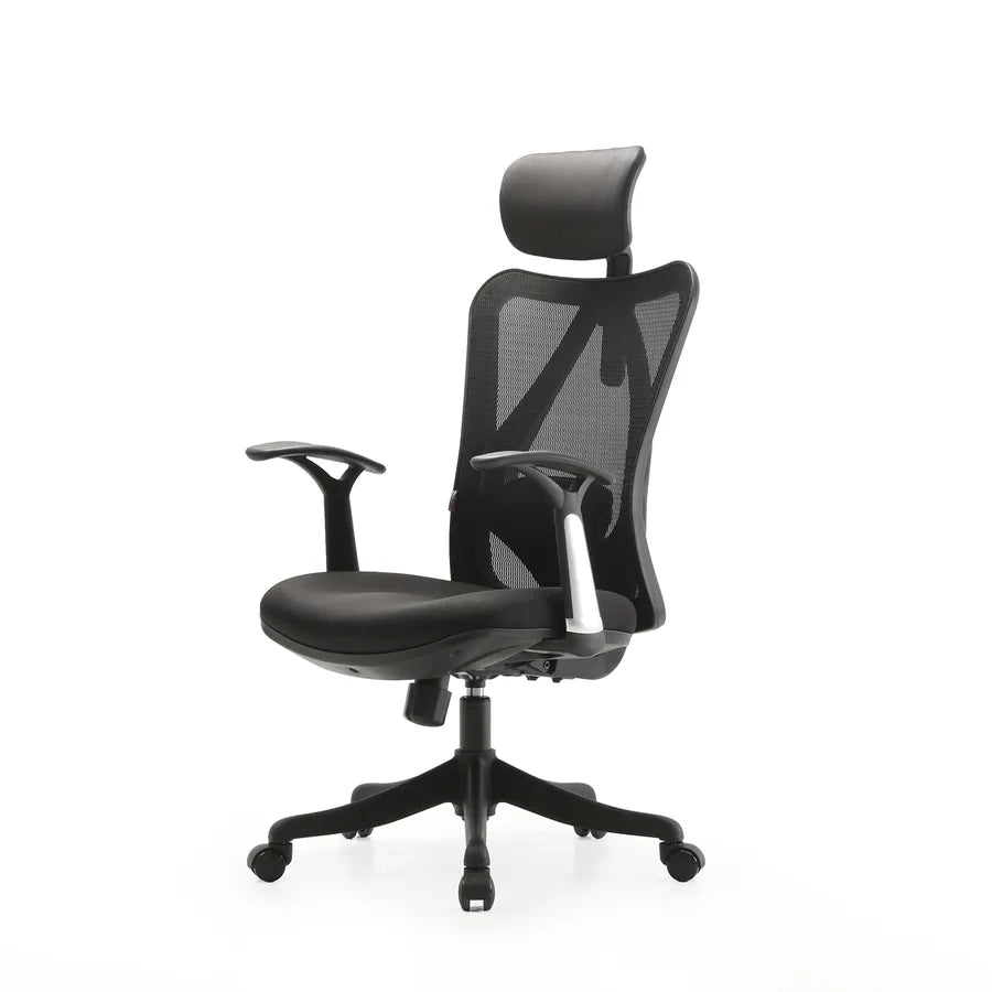 M16 Ergonomic Chair