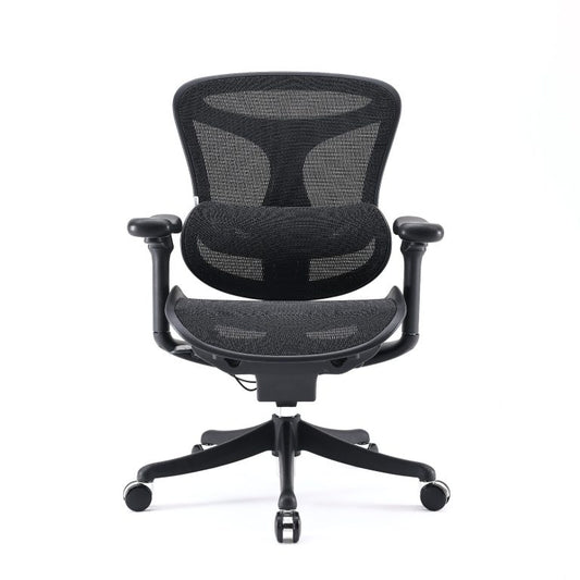 C50 Ergonomic Mesh Office Chair