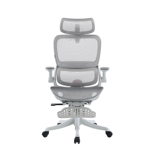 B100 Pro Ergonomic Mesh Office Chair