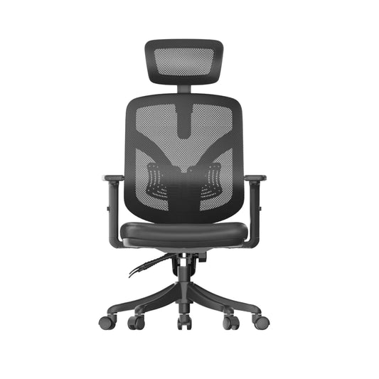 M56 Ergonomic Office Chair