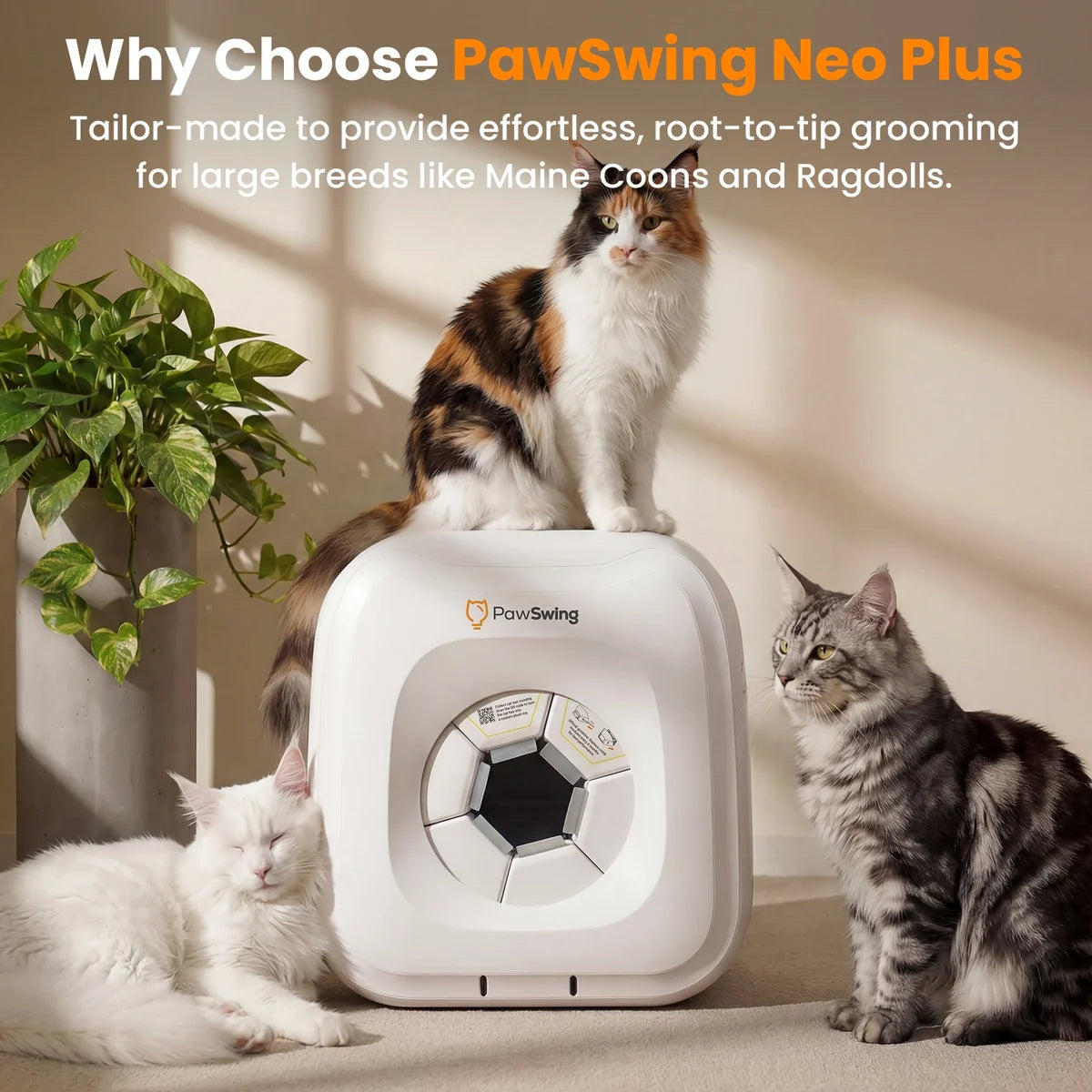 Self-Grooming Cat House