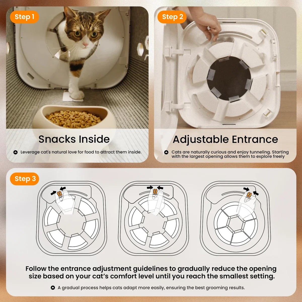 Self-Grooming Cat House