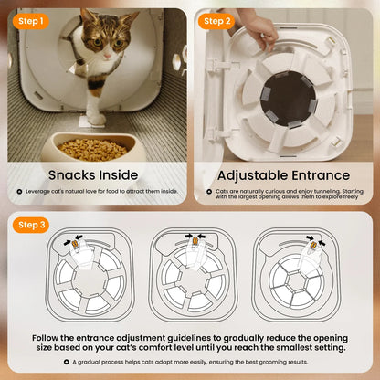 Self-Grooming Cat House