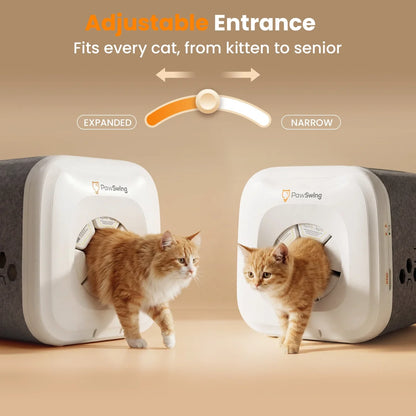 Self-Grooming Cat House