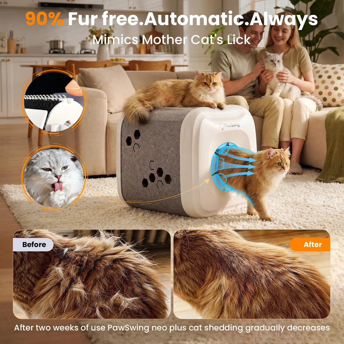 Self-Grooming Cat House