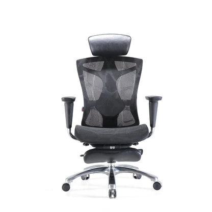 V1 Ergonomic Office Chair
