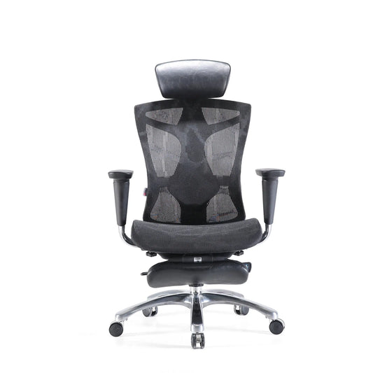 V1 Ergonomic Office Chair